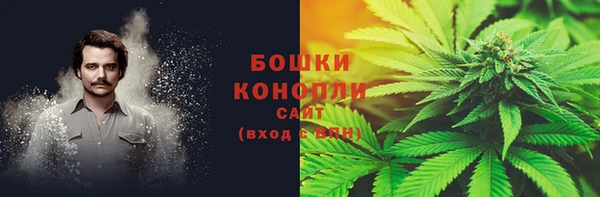 ПСИЛОЦИБИНОВЫЕ ГРИБЫ Пролетарск