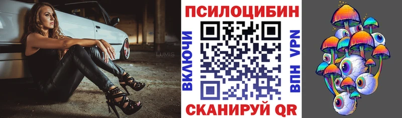 наркотики  Пестово  Галлюциногенные грибы Psilocybine cubensis 
